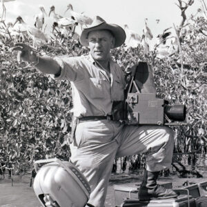 Ebbetts at Work in the Everglades